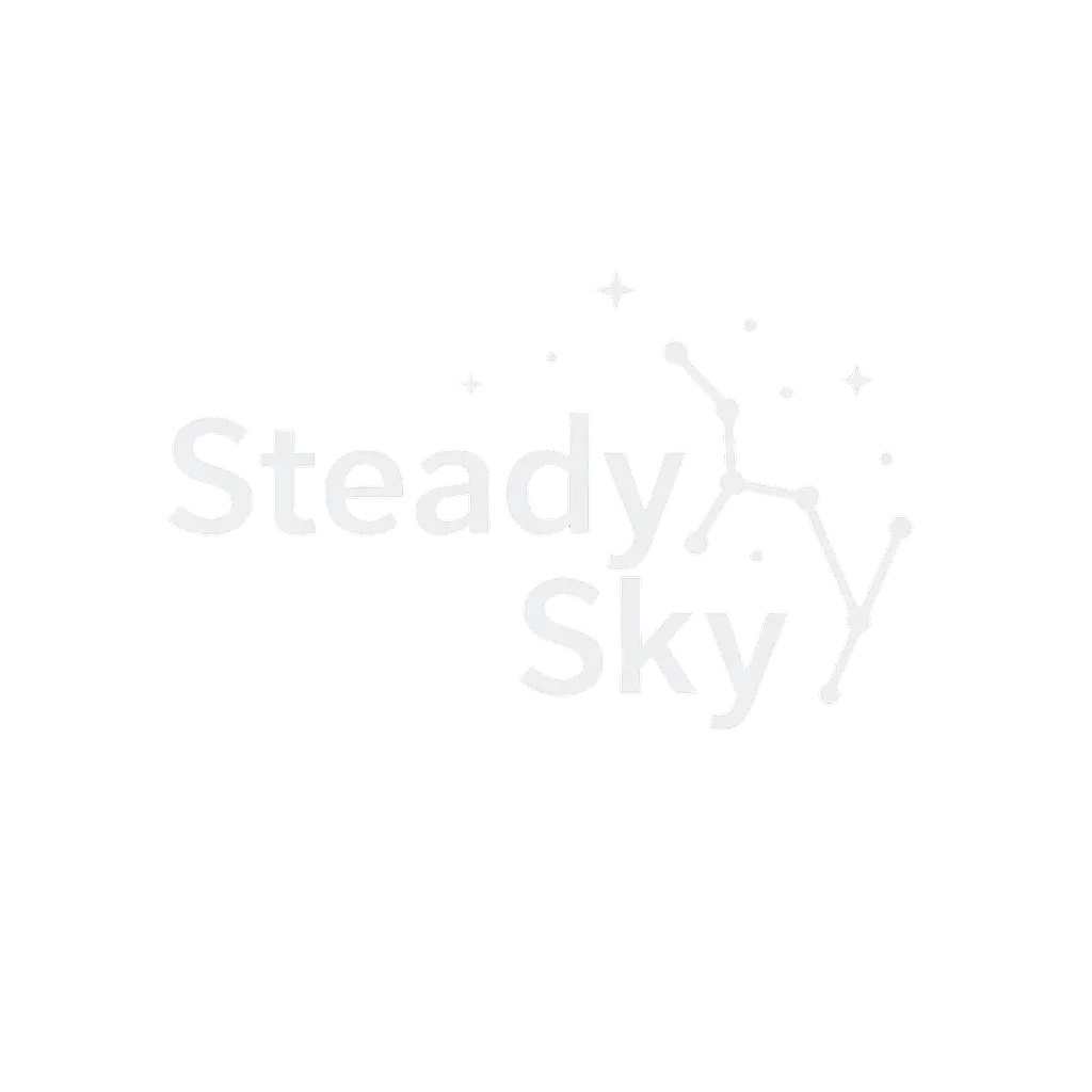 steadysky logo png transparent